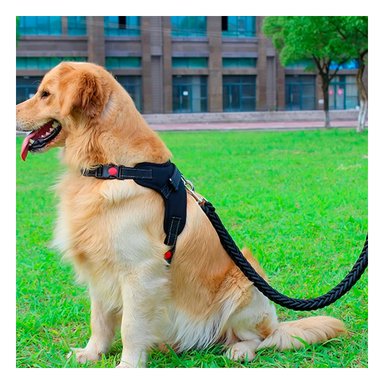 PACK4 PECHERA SEGURO PARA PERROS EN NEGRO Y+PAPEL DE REGALO