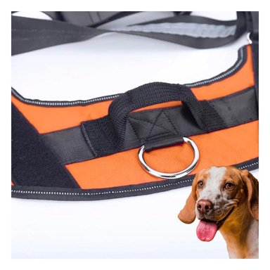 PACK4 CHALECO CON ENGANCHE EN TALLA M EN COLOR ANARANJADO