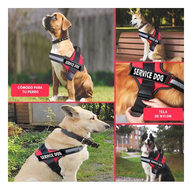 PACK4 CHALECO RESISTENTE EN ROJO Y+REGALO STICKERS