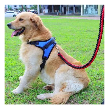 PACK4 PECHERA CON FORMA H Y TALLA S AZUL Y+REGALO AGENDITA