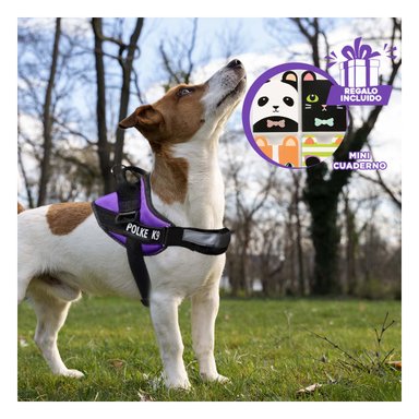 PACK12 CHALECO CON ENGANCHE EN MORADO Y+REGALO AGENDITA