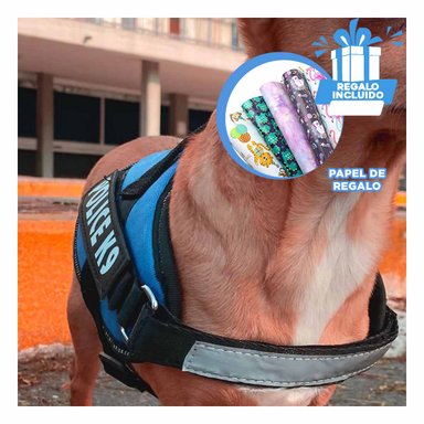 PACK12 CHALECO DE ASISTENCIA EN CELESTE Y+PAPEL DE REGALO