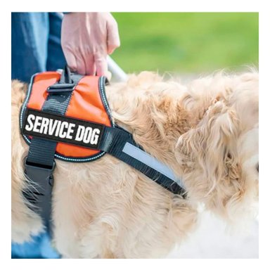 PACK4 CHALECO DE CONTROL SEGURO ANARANJADO Y+PAPEL DE REGALO