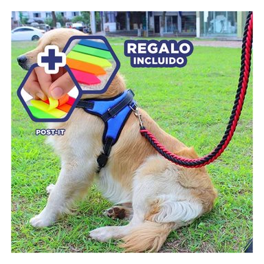 CHALECO CON CORREA PARA PASEO EN AZUL Y+POST-IT ADHESIVOS