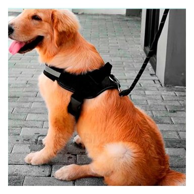 PACK12 ARNES DE FACIL COLOCACION EN TALLA M EN COLOR NEGRO