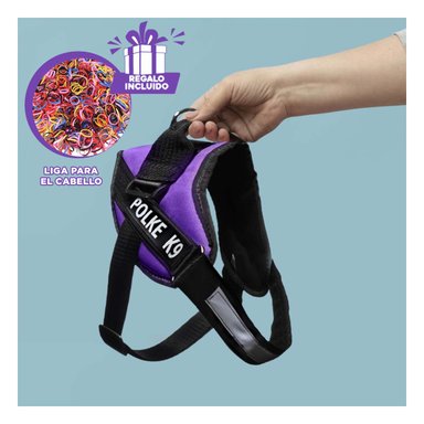 CORREA DE ASISTENCIA EN COLOR MORADO Y+LIGAS DE REGALO