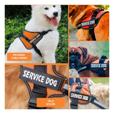 PACK4 CHALECO RESISTENTE EN ANARANJADO Y+REGALO STICKERS