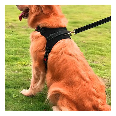 PACK4 PECHERA AJUSTABLE CON FORMA H EN MODELO NEGRO