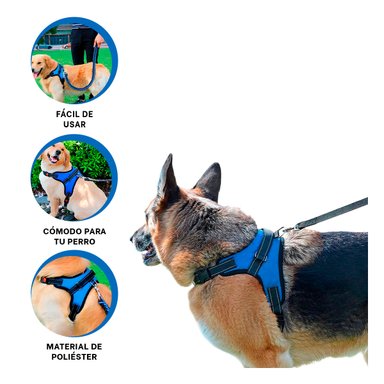 PACK6 CHALECO PARA MASCOTAS DE FORMA H EN COLOR AZUL