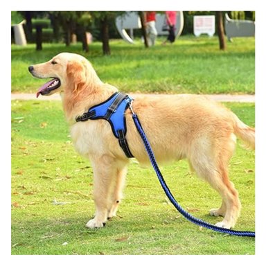 PACK4 CHALECO PARA PASEO EN AZUL Y+BANDERITAS ADHESIVAS