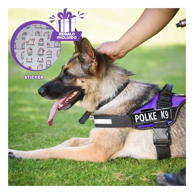 ARNES PRACTICO Y ESTABLE EN M MORADO Y+REGALO STICKERS