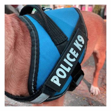 PACK2 ARNES FUNCIONAL EN CELESTE Y+BANDERITAS ADHESIVAS