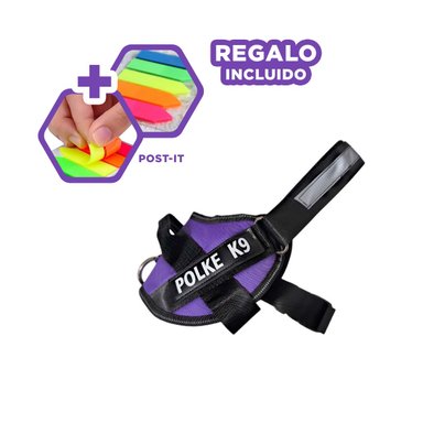 PACK12 CHALECO PARA PERROS MORADO Y+BANDERITAS ADHESIVAS