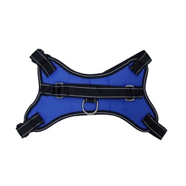 ARNES PARA MASCOTAS CON FORMA H Y TALLA S EN COLOR AZUL