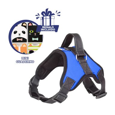 PACK12 PECHERA AJUSTABLE Y FORMA H EN AZUL Y+REGALO AGENDITA