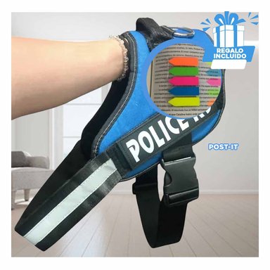 PACK6 ARNES PECHERA EN CELESTE Y+BANDERITAS ADHESIVAS