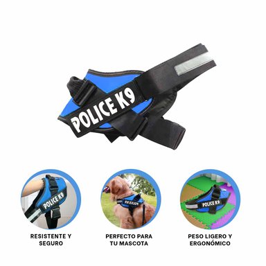 PACK6 CORREA SEGURO EN COLOR CELESTE Y+PAPEL DE REGALO