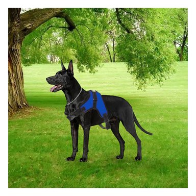 PACK6 ARNES CON PECHERA AJUSTABLE EN AZUL Y+REGALO STICKERS