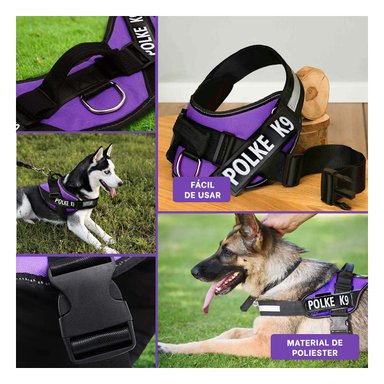 PACK6 ARNES PARA PERROS EN MORADO Y+REGALO AGENDITA