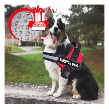 PACK12 CHALECO SEGURO EN ROJO Y+REGALO STICKERS