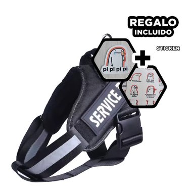 PACK6 ARNES CON CORREA AJUSTABLE EN NEGRO Y+REGALO STICKERS