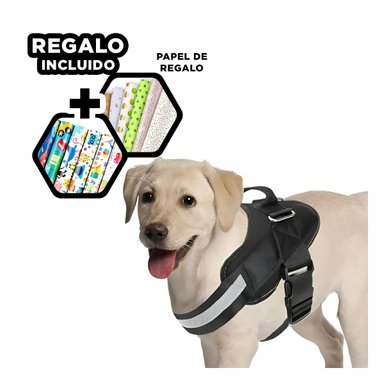PACK12 CHALECO DE ASISTENCIA EN NEGRO Y+PAPEL DE REGALO