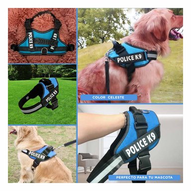 PACK6 ARNES AJUSTABLE EN CELESTE Y+REGALO STICKERS