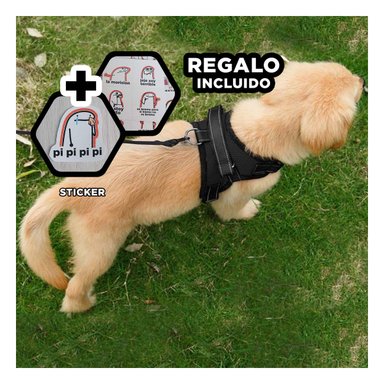 ARNES PARA PERROS TALLA S EN COLOR NEGRO Y+REGALO STICKERS