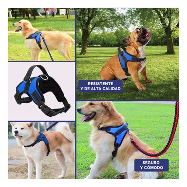 PACK6 ARNES SEGURO PARA PERROS AZUL Y+BANDERITAS ADHESIVAS