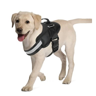 PACK2 ARNES CON CORREA AJUSTABLE EN NEGRO Y+PAPEL DE REGALO