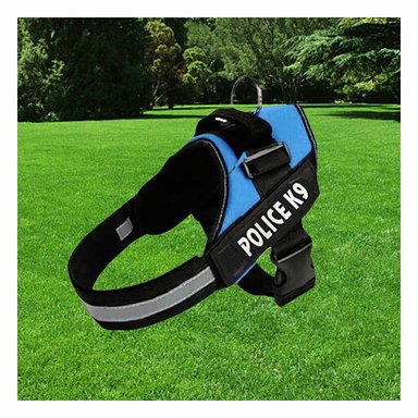 PACK2 ARNES TIPO PECHERA EN CELESTE Y+REGALO AGENDITA