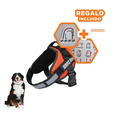 PACK12 CHALECO SEGURO EN ANARANJADO Y+REGALO STICKERS