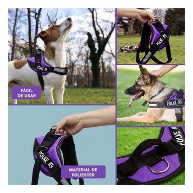 PACK6 ARNES AJUSTABLE EN MORADO Y+REGALO STICKERS