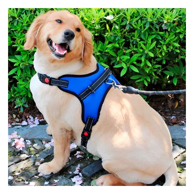 PACK2 ARNES DE FORMA H Y TALLA M AZUL Y+BANDERITAS ADHESIVAS