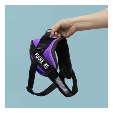 PACK4 CHALECO CON ENGANCHE EN TALLA M EN COLOR MORADO