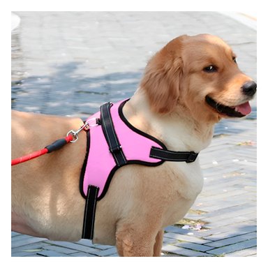 PACK6 CHALECO AJUSTABLE Y LIGERO EN ROSADO Y+PAPEL DE REGALO