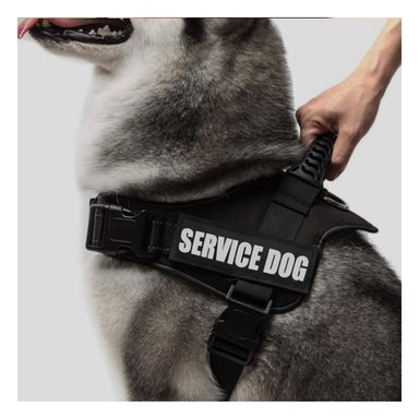 PACK4 CHALECO DE CONTROL SEGURO EN NEGRO Y+PAPEL DE REGALO