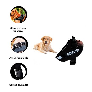 PACK4 CHALECO DE CONTROL SEGURO EN NEGRO Y+PAPEL DE REGALO - 3