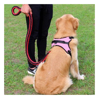 PACK4 CHALECO PARA PASEO EN ROSADO Y+BANDERITAS ADHESIVAS