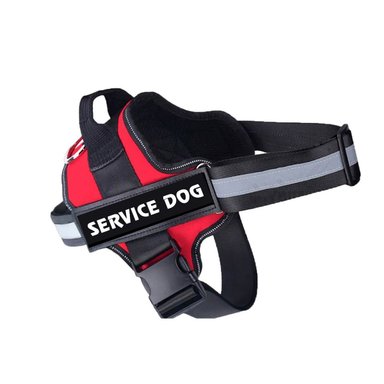 ARNES DISEÑADO PARA PERROS EN TALLA M EN ROJO