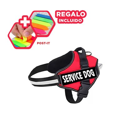 PACK4 CORREA PARA PERROS ROJO Y+BANDERITAS ADHESIVAS