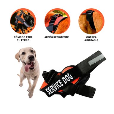 PACK2 ARNES PRACTICO EN M ANARANJADO Y+REGALO STICKERS