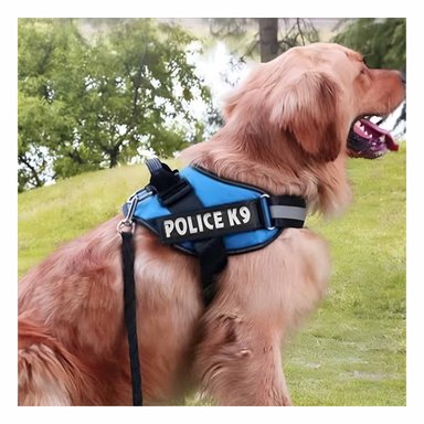 PACK4 CHALECO CON ENGANCHE EN TALLA M EN COLOR CELESTE