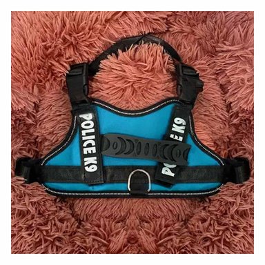 PACK2 ARNES PRACTICO EN M CELESTE Y+REGALO STICKERS