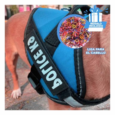 CORREA DE ASISTENCIA EN COLOR CELESTE Y+LIGAS DE REGALO
