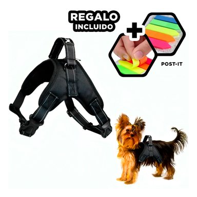 PACK6 ARNES SEGURO PARA PERROS NEGRO Y+BANDERITAS ADHESIVAS