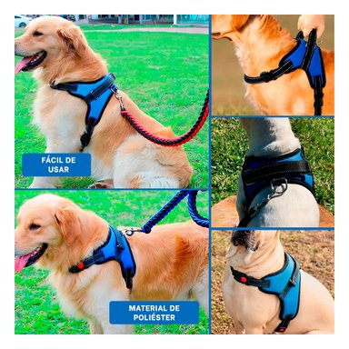 PACK6 ARNES CON PECHERA AJUSTABLE EN AZUL Y+REGALO STICKERS