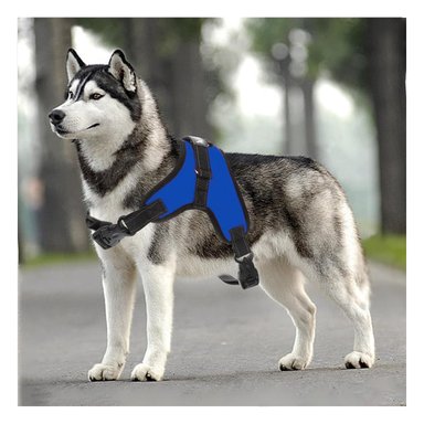 PACK6 CHALECO AJUSTABLE Y LIGERO EN AZUL Y+PAPEL DE REGALO