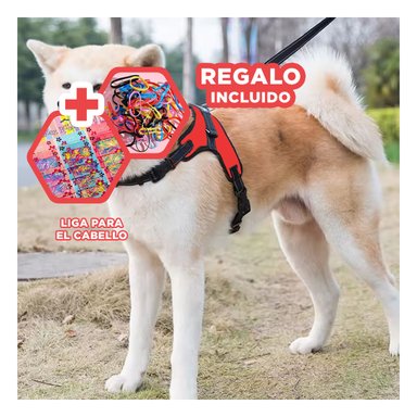 PACK12 PECHERA DE PET PARA PASEO EN S ROJO Y+LIGAS DE REGALO
