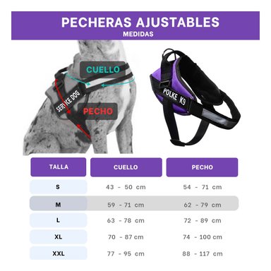 PACK4 CHALECO RESISTENTE EN MORADO Y+REGALO STICKERS